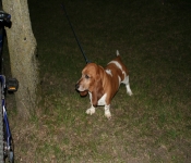 Siouxfalls May07 246